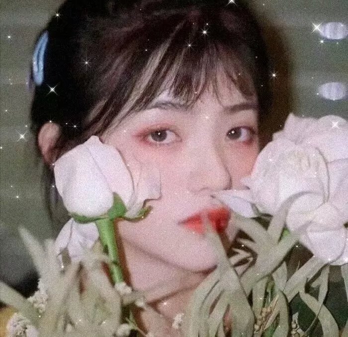 谜样的情人